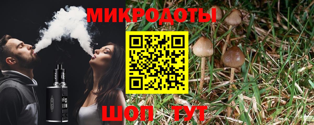 Псилоцибиновые грибы Magic Shrooms Касимов